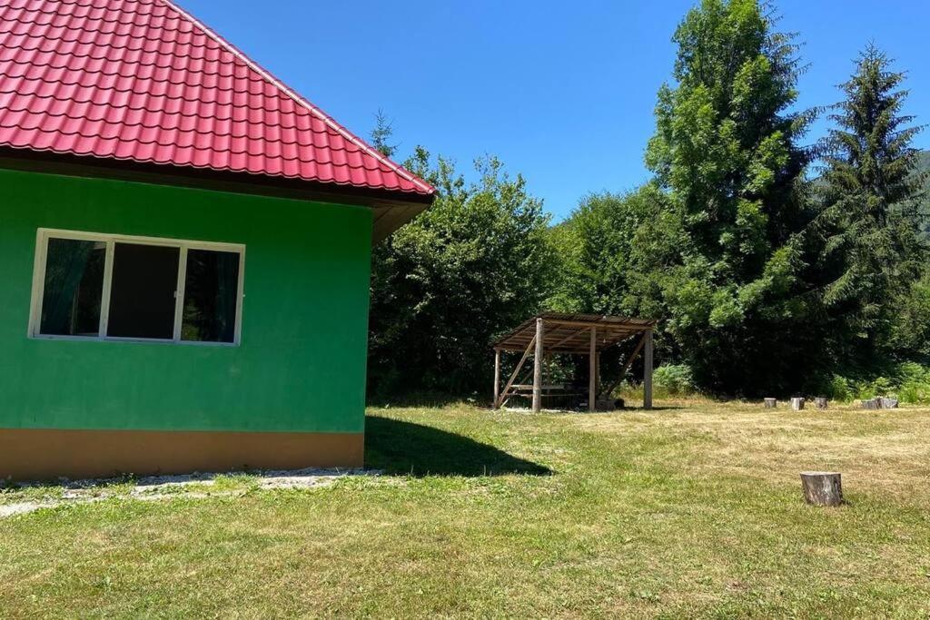 The Green House - Apuseni Mountains Pietroasa  Dış mekan fotoğraf